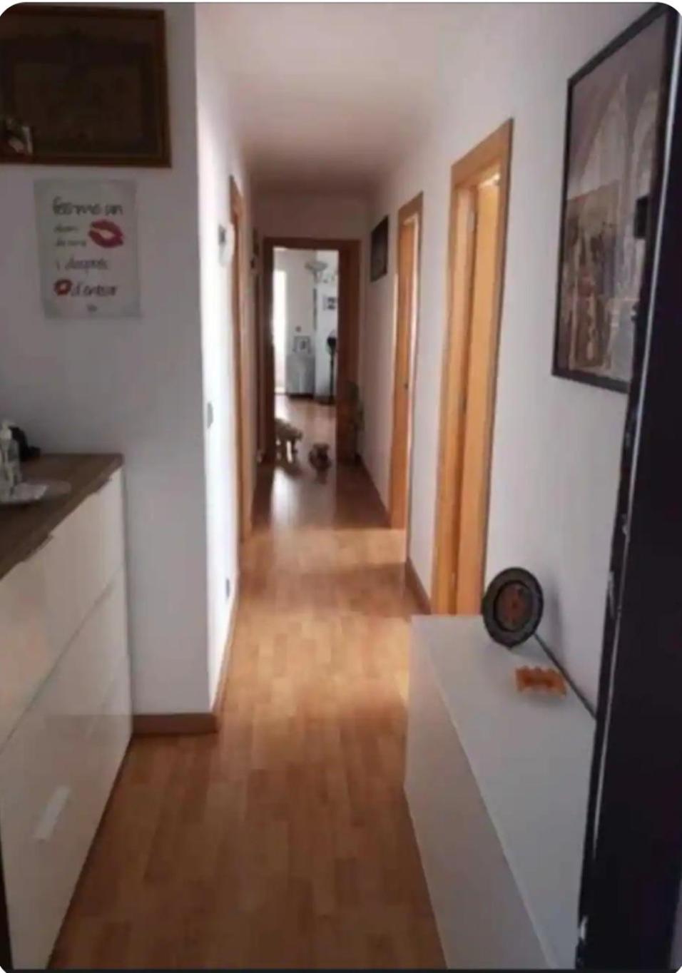 Habitación Maria Jose Benidorm Exterior foto